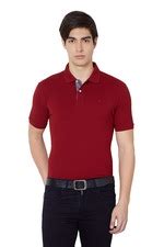 Buy Men Maroon Solid Polo Neck Collar T-shirt Online - 198034 | Peter ...
