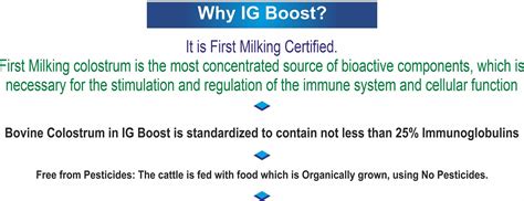 IG Boost Capsules- Bovine Colostrum | Immune & Gut Health Supplement ...