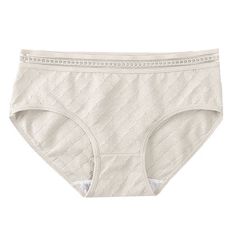 Akiihool Plus Size Underpants womens Organic Cotton Panties Pack ...
