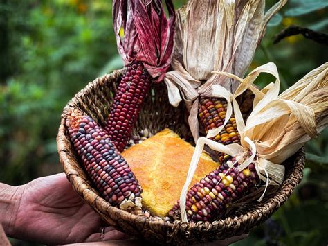 Columbian Exchange Food