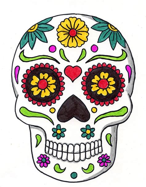 Skull Drawings