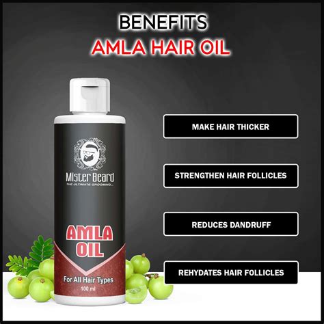 Buy MISTER BEARD AMLA OIL 100ML Online & Get Upto 60% OFF at PharmEasy