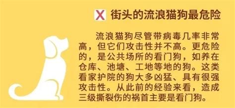 致死率高于99%，7大方法用于检测狂犬病 - 分析行业新闻