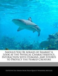 Should You Be Afraid of Sharks? a Look at the Physical Characteristics ...
