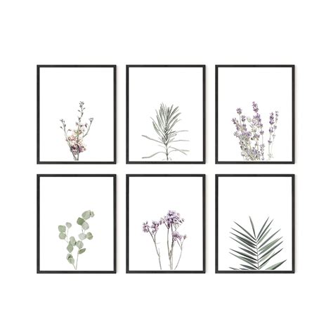 HAUS AND HUES Floral Prints and Plant Posters Set of 6 Botanical Prints ...
