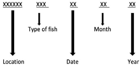 Process Identification Code 的图像结果