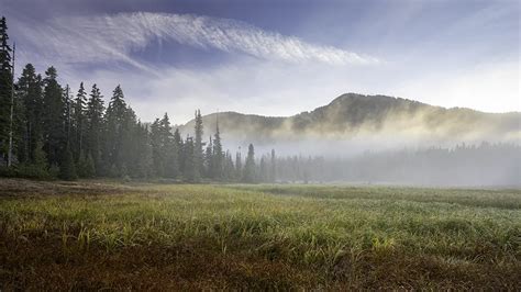 Image result for How to Use Neutral Density Graduated Filter