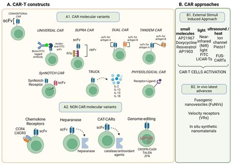 Significant Advancements and Evolutions in Chimeric Antigen Receptor Design