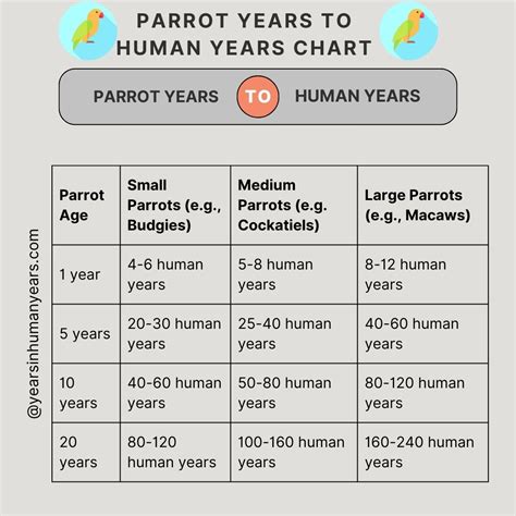 Parrot Years to Human Years - Parrot Age Calculator - YIHY