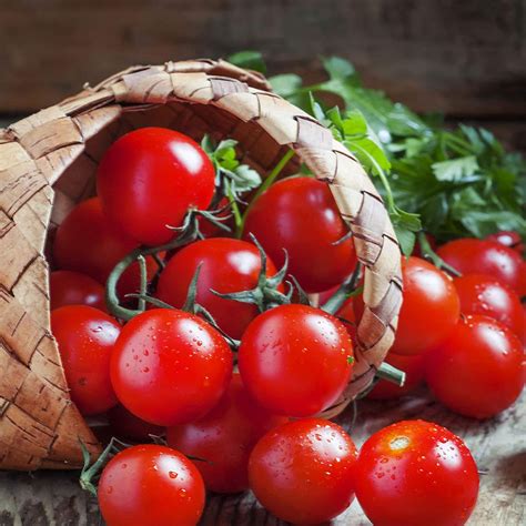 Creative Farmer Vegetable Seeds Cherry Tomato Hybrid Seeds - Cherry ...