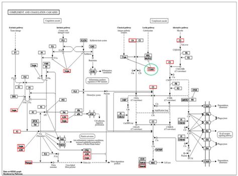 Platelet-Rich Plasma Proteome of Mares Susceptible to Persistent ...