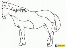 ausmalbilder hunde und pferde pferd malen anleitung ausmalbild club ausmalbilder hunde und pferde pferd malen anleitung ausmalbild club