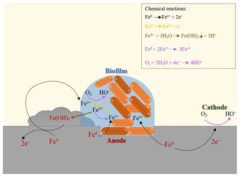 Recent Development of Corrosion Inhibitors: Types, Mechanisms, Electrochemical Behavior ...