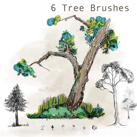 Tree Top View Photoshop Brushes - Free ABR Download | MyPhotoshopBrushes