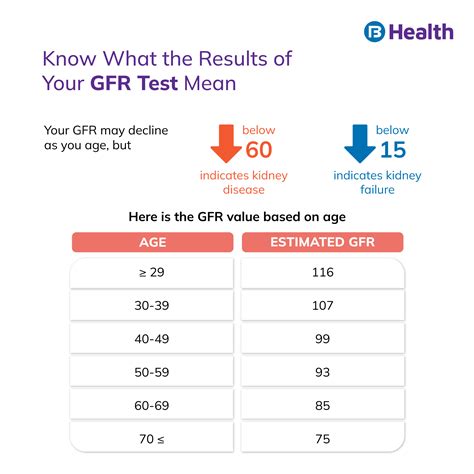 7 tips to improve kidney health this World Kidney Day