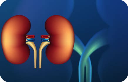 Our Blogs - Healthy Kidneys