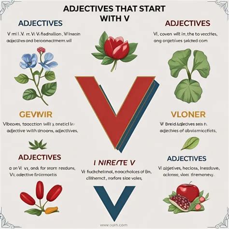 299+ Adjectives That Start With V: | Updated 2025