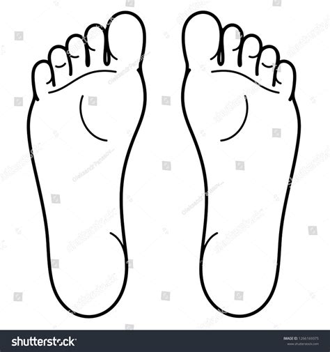 Drawing Anatomy Of Foot at Eric Montez blog