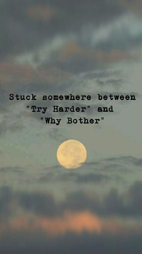 Stuck somewhere "Try Harder" and "Why Bother". #inspirationalquotes # ...