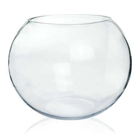 ecofynd Glass Terrarium Bowl, Fish Bowl, Crystal Clear Aquarium Bowl ...