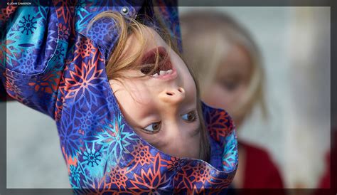 Image result for Salt Spring Tutorial Lfiddle