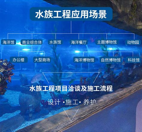 国内水族店水草缸造景北京尺寸设计首位水族_水景堂