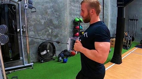 Image result for Cable Row Variations