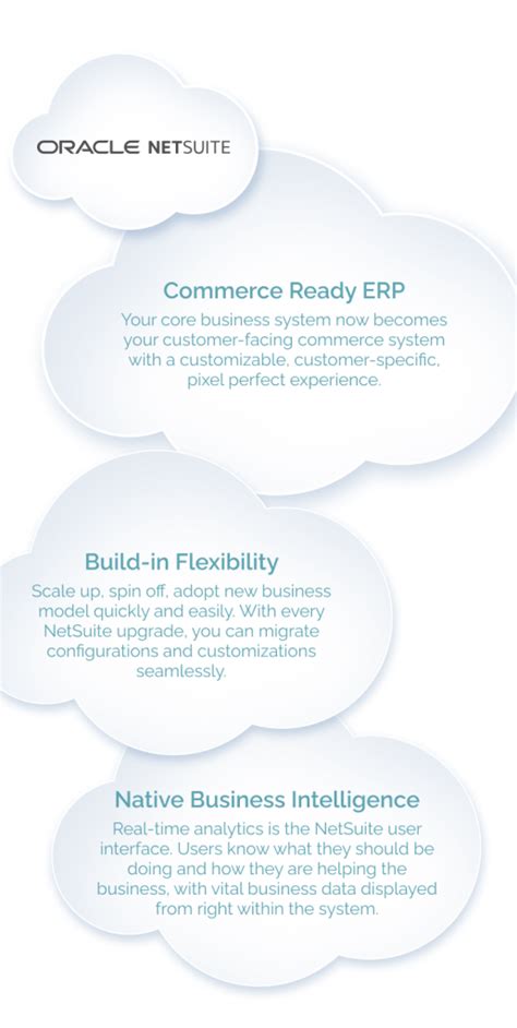 Image result for Oracle NetSuite User Guide