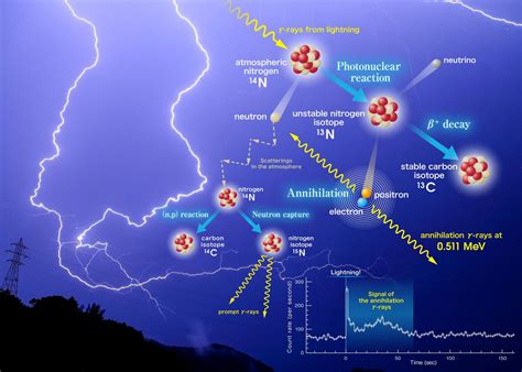 How Gamma-Rays from Lightning Produce Radioisotopes and Positrons