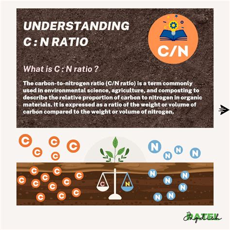 I really like this simple infographic regarding the carbon:nitrogen ratio. | Steven Wicks