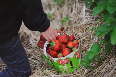 Au profit de la Fondation de la Maison Desjardins de soins palliatifs ...