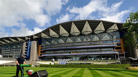 Buffalo charges at Haydock | Racing News | Sky Sports