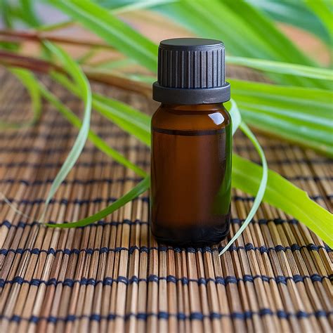 Premium Aroma Diffuser Essential Oil (10ml 1 Pc) – Royal Bucket