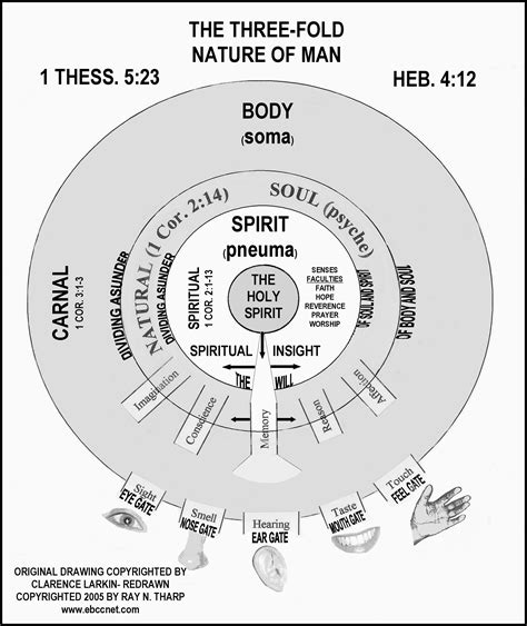 Spirit Soul And Body Diagram at Connor Greer blog