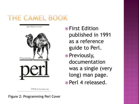 Image result for Writing Perl