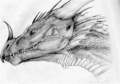 dragon drawing easy realistic