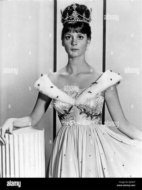 Lesley Ann Warren on-set of the TV Movie, Cinderella, 1965 Stock Photo ...