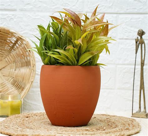 GOLD DUST Terracotta Pots for Plants, Gamley for Plants, Gamla for ...