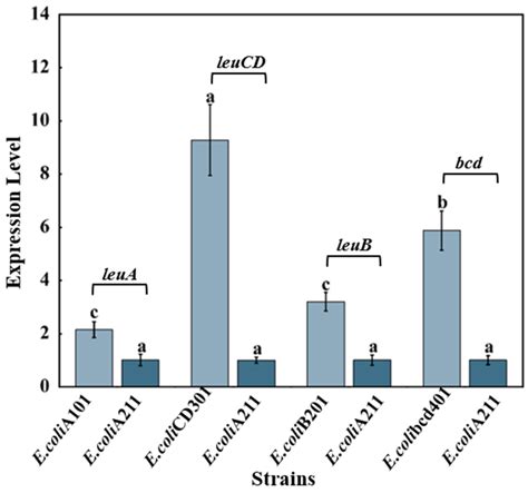 Enhanced L-Leucine Production in Escherichia coli via CRISPR-Associated ...
