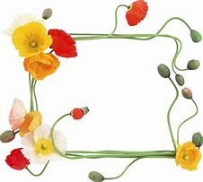 Image result for Photo Collage Frame PNG
