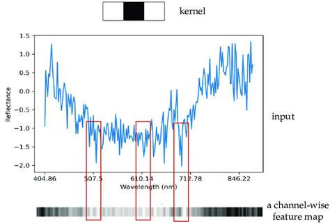 Image result for Image Convolution Plus Sign Kernel