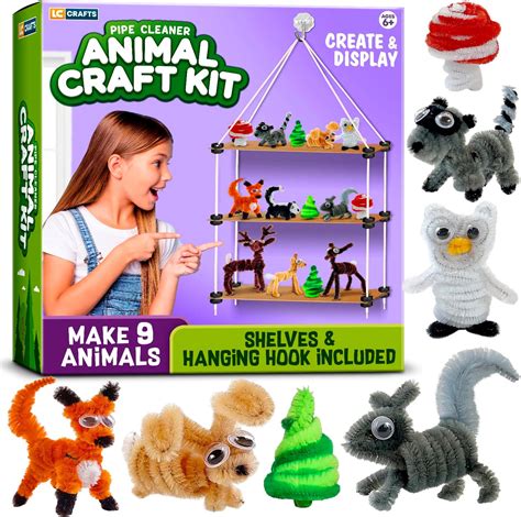Amazon.com: Art and Crafts Kit for Kids Ages 8-12, Create and Display ...