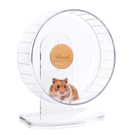 Hamster On A Wheel