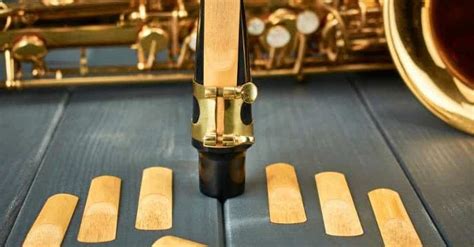 Image result for Reed Musical Instruments