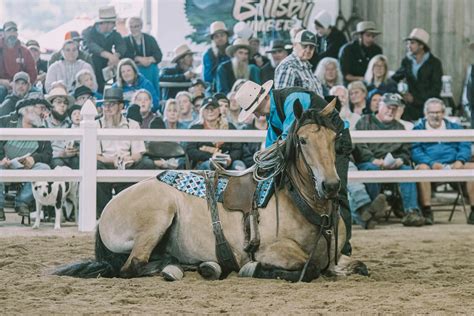 Image result for Yoder Poultry Auction