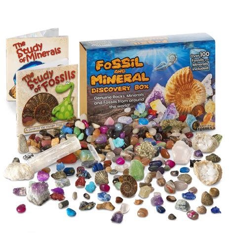 Buy Fossil and Mineral Discovery Box - Over 100 Hand-Selected Genuine ...