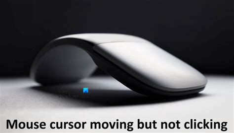 No Mouse Pointer 的图像结果
