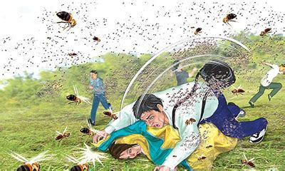 台湾虎头蜂群袭击游客 陈文龙肉身挡千蜂护女-搜狐新闻