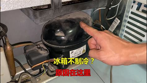 冰箱总结冰怎么办？只需动一下这里，冰箱再也不结冰，省钱又省电