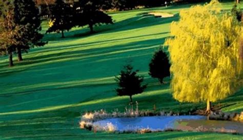 Useless Bay Golf & Country Club in Langley, WA | Presented by BestOutings